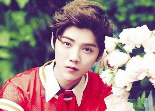 演员九月,光影交织的银幕传奇